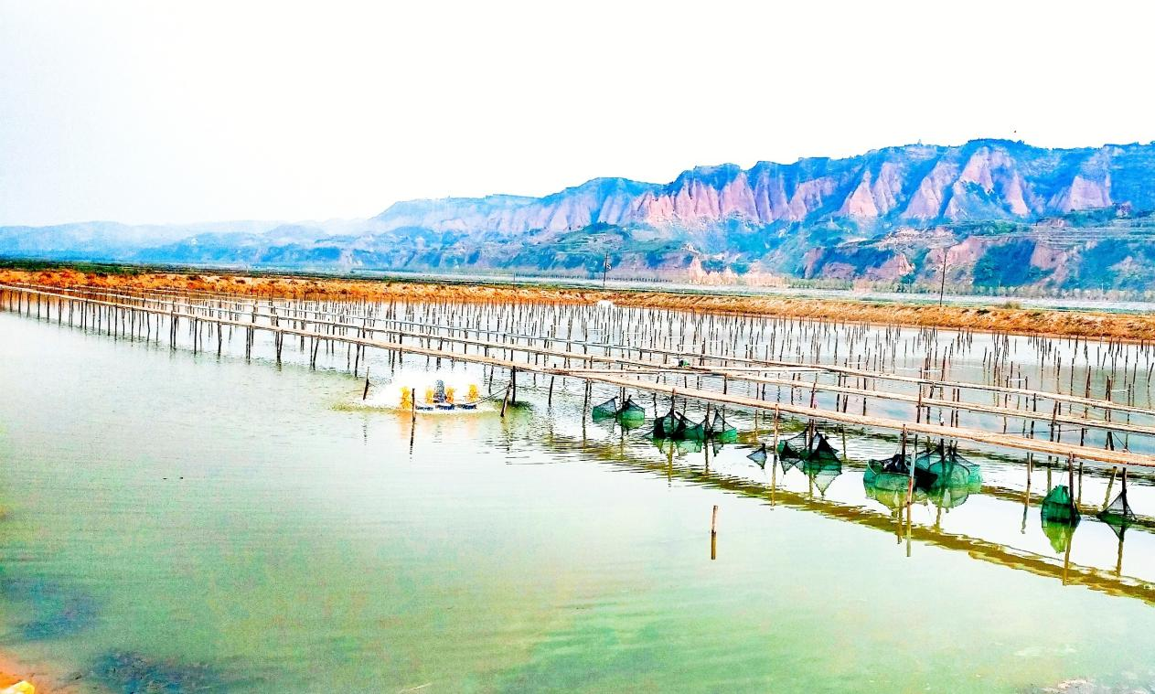 “南蟹北养”背后的“金融密码”