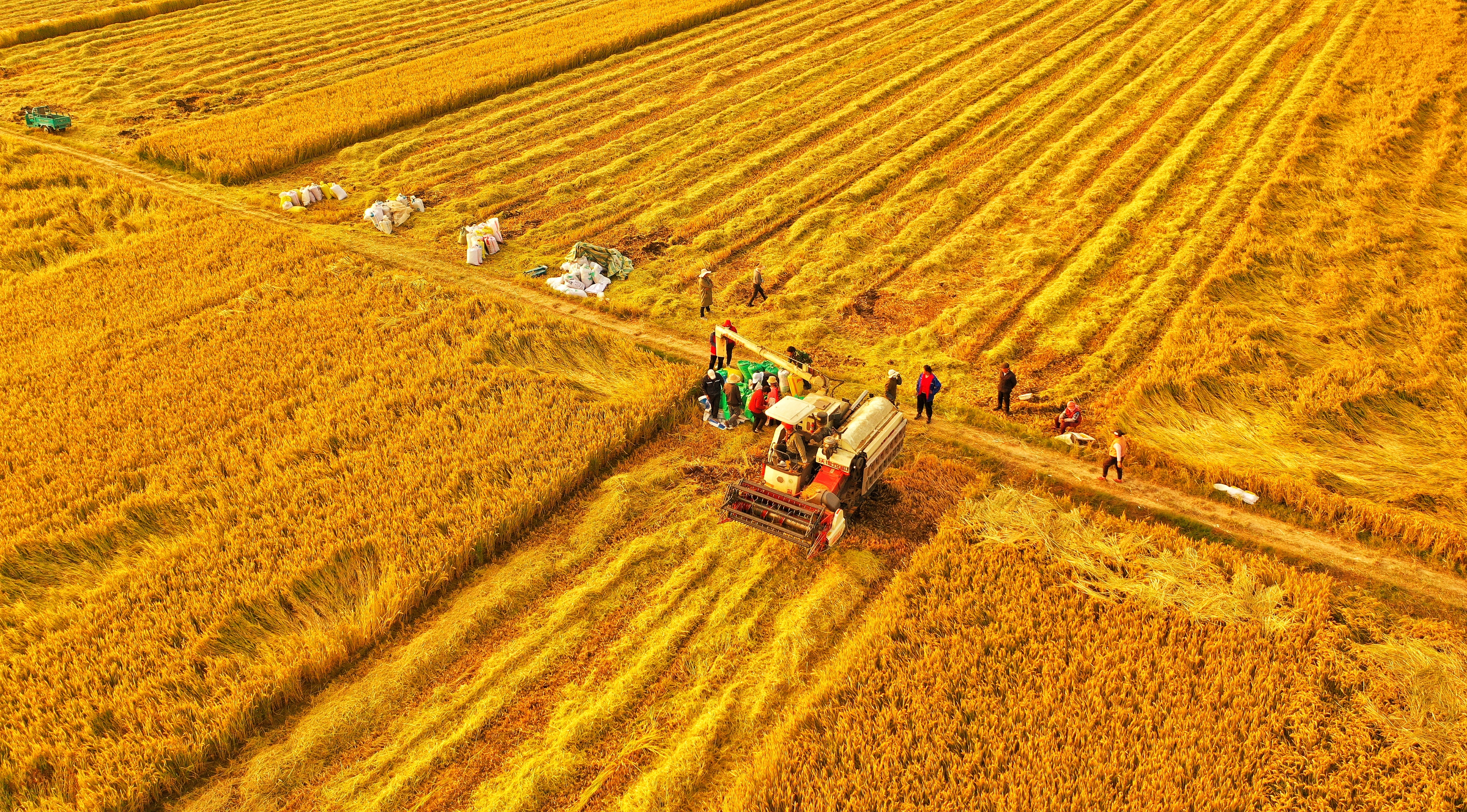 山西农商银行坚守“支农支小”服务定位 助力乡村产业高质量发展 锚定“小而美” 书写普惠金融大文章